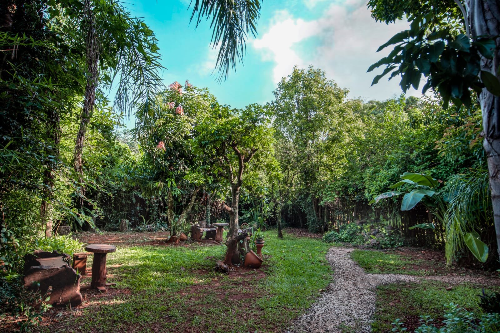 Hospedaje: Cabañas Utty 6 Patio con plantas y palmeras de Cabañas Utty