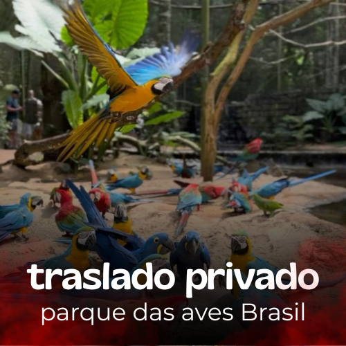 Traslado al Parque das Aves (ida y vuelta)