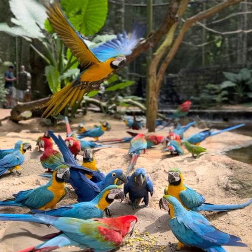 Inicio 21 Combo 1 (excursiones + hospedaje)